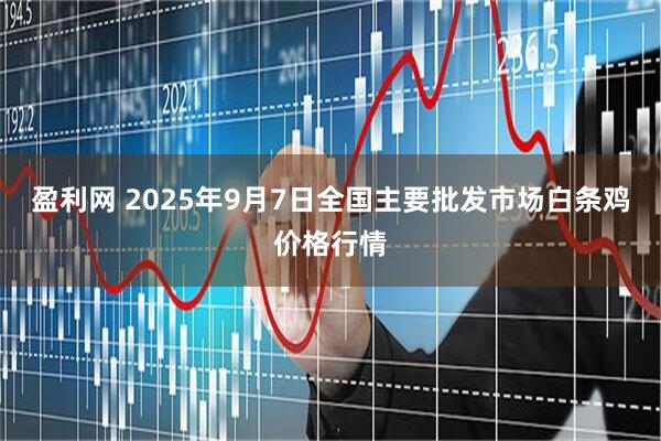盈利网 2025年9月7日全国主要批发市场白条鸡价格行情