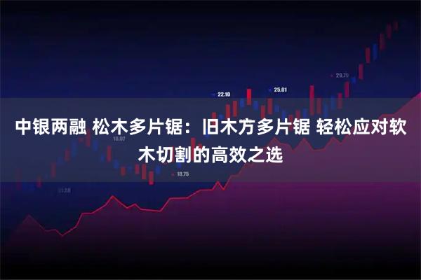 中银两融 松木多片锯：旧木方多片锯 轻松应对软木切割的高效之选