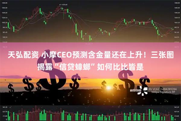 天弘配资 小摩CEO预测含金量还在上升！三张图揭露“信贷蟑螂”如何比比皆是