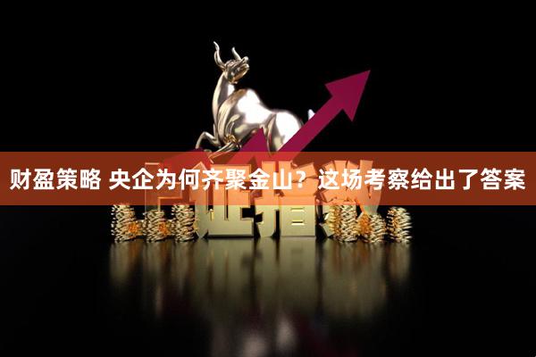 财盈策略 央企为何齐聚金山？这场考察给出了答案