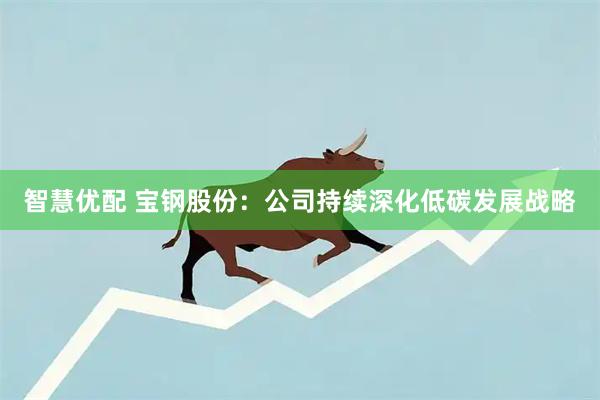 智慧优配 宝钢股份：公司持续深化低碳发展战略