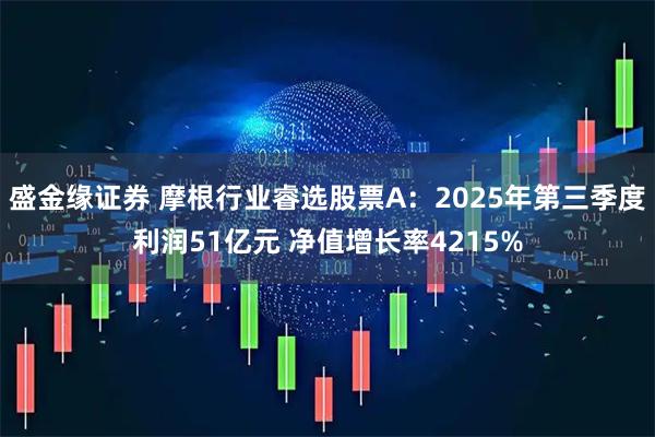 盛金缘证券 摩根行业睿选股票A：2025年第三季度利润51亿元 净值增长率4215%